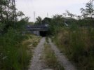 sottopasso sotto autostrada e tangenziale. basterebbe una sistemazione del (...)