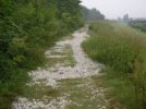 localita` pontoncello. qui e` previsto al creazione di un parco (...)