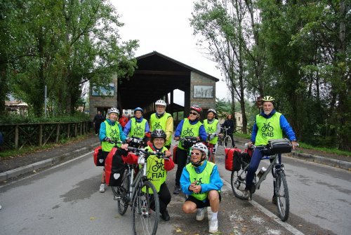 Paciclica 2016