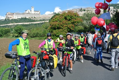 Paciclica 2016
