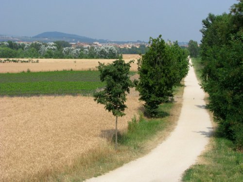 La ciclabile verso Bosco Buri da Ponte San Pancrazio
