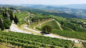 Pedalando in Valpolicella: NASCITA DI UNA RETE CICLOTURISTICA