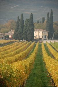 Autunno Valpolicella