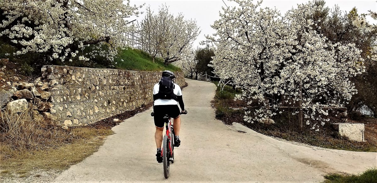 Itinari in Valpolicella e Valdadibe