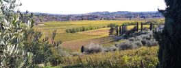 Camminata a Bure, Fumane e San Pietro in Cariano