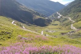 La Via Francigena - Dal Gran San Bernardo alla Reggia di Venaria