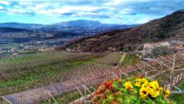 Borghetto d'Avio - Rovereto [Isolainbici]