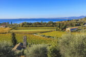 Tra le colline del Bardolino [Valpobike]