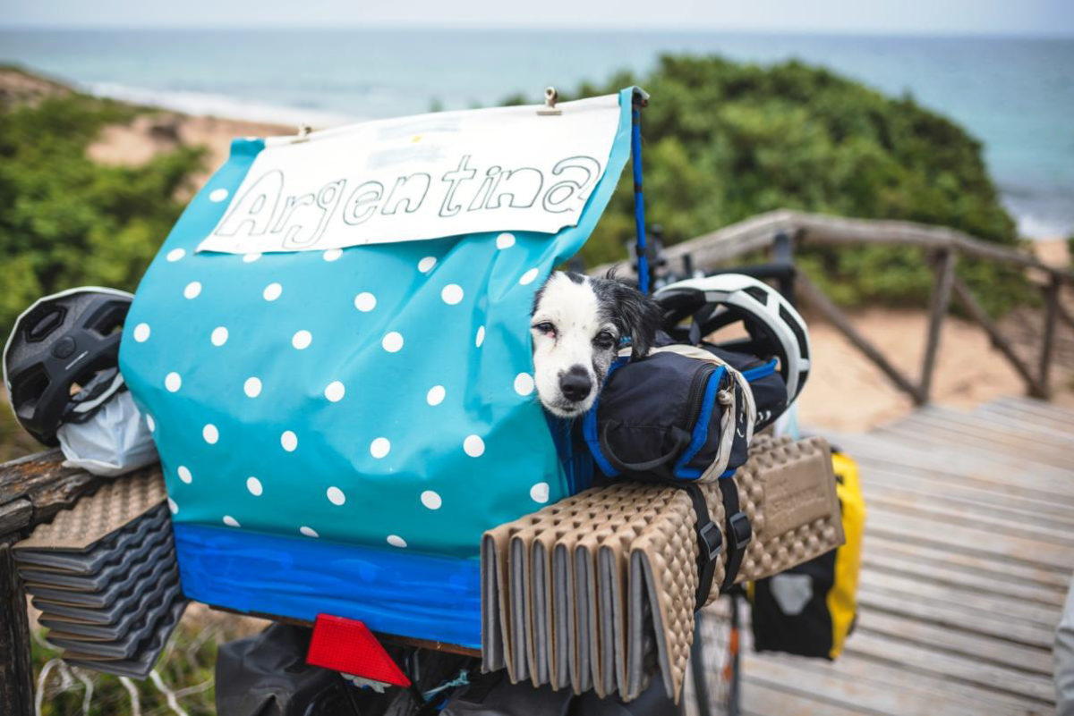 HappyHours bike travel (il cane Piri)