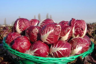 A Casaleone per la Fiera del Radicchio