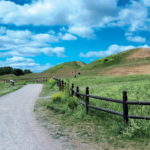 Tombe vikinghe a Gamla Uppsala