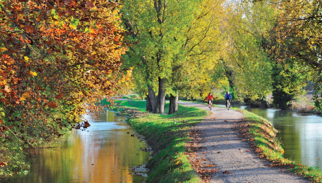 RL167 Siamo su una brutta strada - Ciclabile dei fossi a Montorio (estiva)