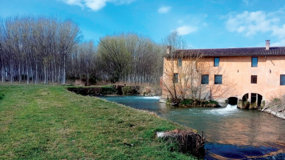 RL171 Un Po meno lontano - Cristina Gianello - Mulino della Giarella a Isola della Scala