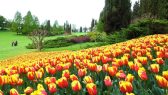 A Valeggio in visita al Parco Sigurtà