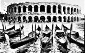 In bicicletta da Venezia a Verona. Dal Canal Grande all'Arena, passando tra i colli Berici  e i colli Euganei