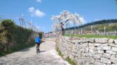 Anello ciclabile in Valpolicella, fino a Mazzano e Giove Felvenni