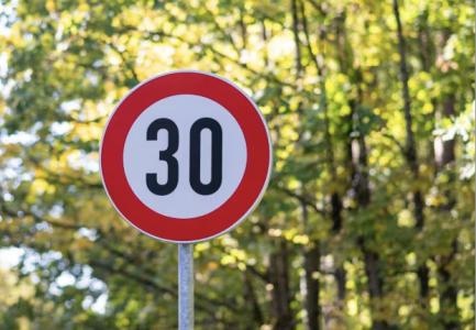 segnale-30kmh-su-sfondo-alberi-da-genitoriantismog-it
